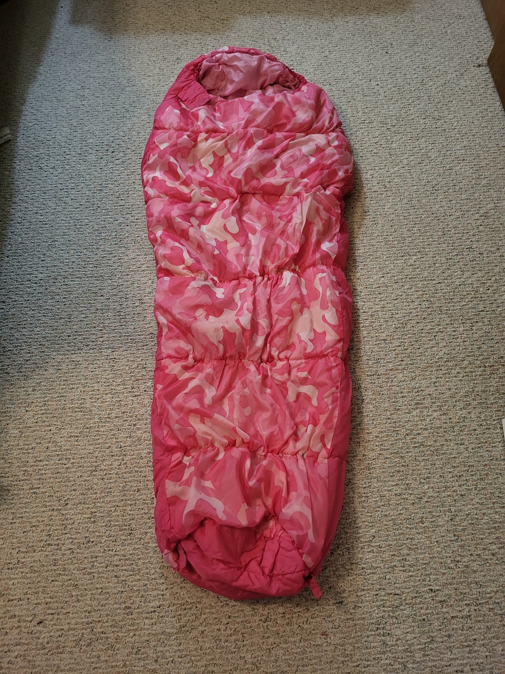 Pink Camo Sleeping Bag - Hooded Mummy Style, Child's Size